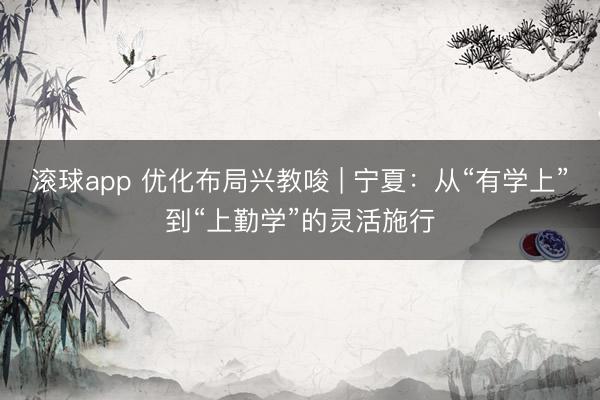 滚球app 优化布局兴教唆 | 宁夏:从“有学上”到“上勤学”的灵活施行