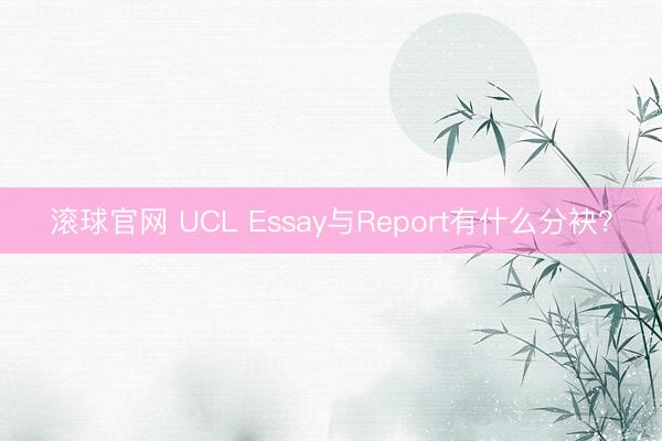 滚球官网 UCL Essay与Report有什么分袂？