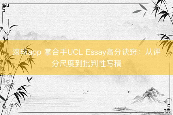 滚球app 掌合手UCL Essay高分诀窍：从评分尺度到批判性写稿