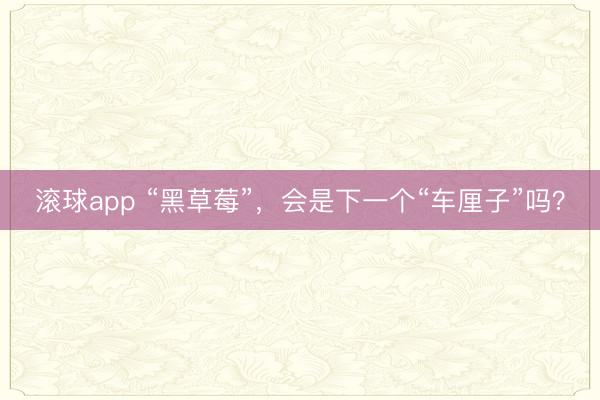 滚球app “黑草莓”，会是下一个“车厘子”吗？