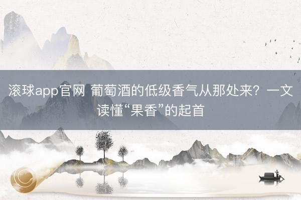滚球app官网 葡萄酒的低级香气从那处来？一文读懂“果香”的起首