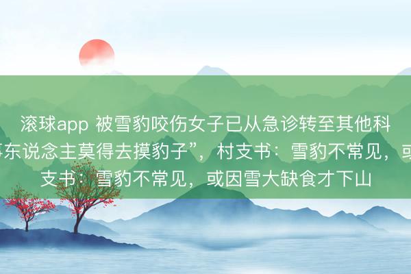 滚球app 被雪豹咬伤女子已从急诊转至其他科室,眼见者称“当事东说念主莫得去摸豹子”,村支书:雪豹不常见,或因雪大缺食才下山