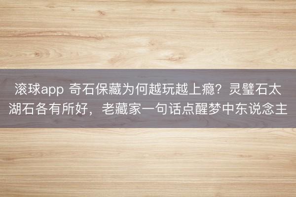 滚球app 奇石保藏为何越玩越上瘾？灵璧石太湖石各有所好，老藏家一句话点醒梦中东说念主