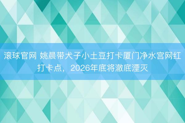 滚球官网 姚晨带犬子小土豆打卡厦门净水宫网红打卡点，2026年底将澈底湮灭
