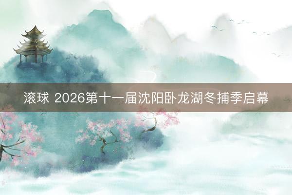 滚球 2026第十一届沈阳卧龙湖冬捕季启幕