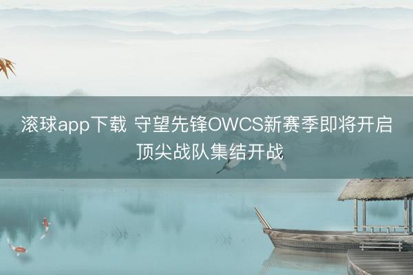 滚球app下载 守望先锋OWCS新赛季即将开启 顶尖战队集结开战