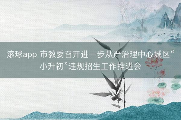 滚球app 市教委召开进一步从严治理中心城区“小升初”违规招生工作推进会