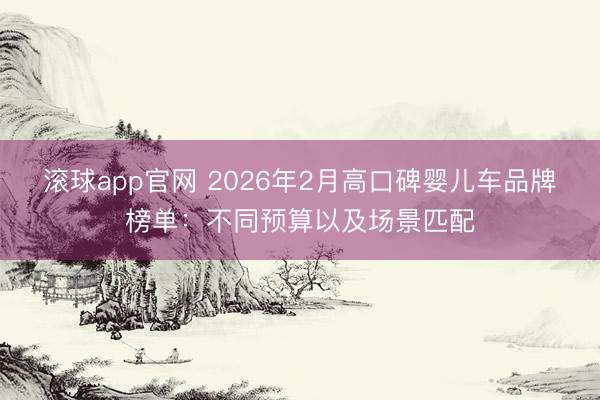 滚球app官网 2026年2月高口碑婴儿车品牌榜单：不同预算以及场景匹配