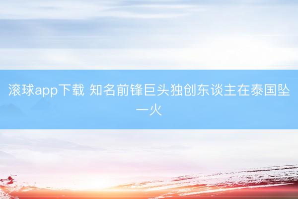 滚球app下载 知名前锋巨头独创东谈主在泰国坠一火