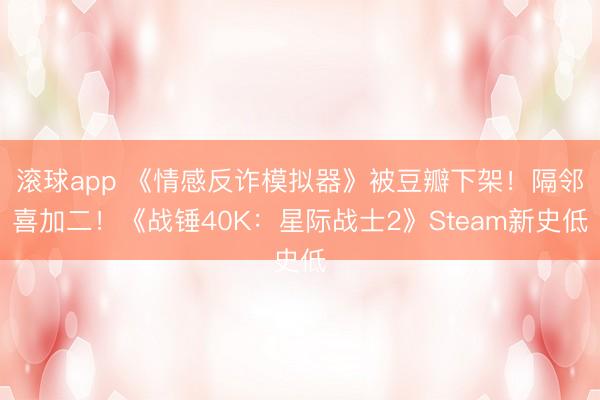 滚球app 《情感反诈模拟器》被豆瓣下架!隔邻喜加二!《战锤40K:星际战士2》Steam新史低