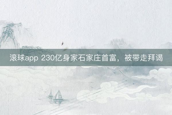 滚球app 230亿身家石家庄首富，被带走拜谒