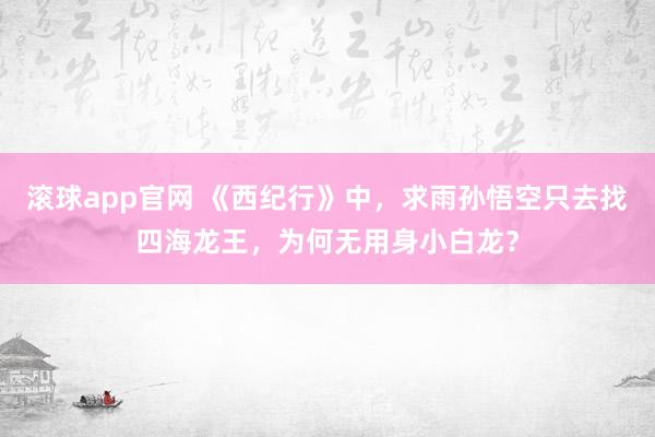 滚球app官网 《西纪行》中，求雨孙悟空只去找四海龙王，为何无用身小白龙？