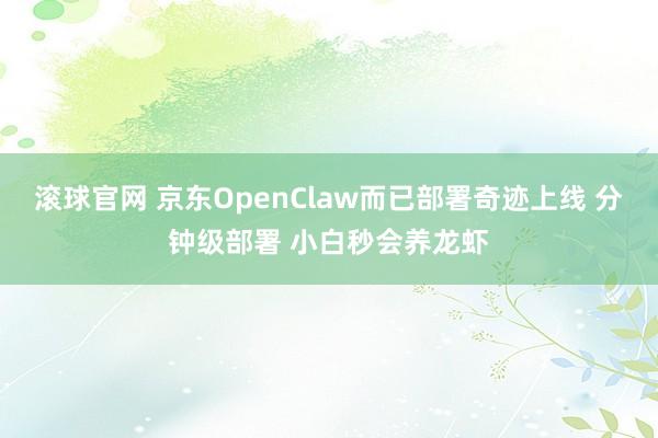 滚球官网 京东OpenClaw而已部署奇迹上线 分钟级部署 小白秒会养龙虾