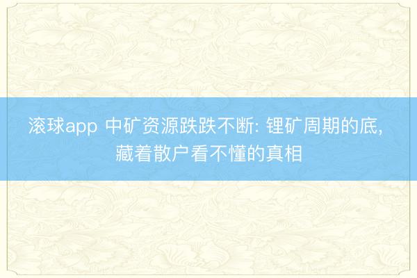 滚球app 中矿资源跌跌不断: 锂矿周期的底, 藏着散户看不懂的真相