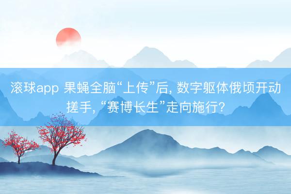 滚球app 果蝇全脑“上传”后, 数字躯体俄顷开动搓手, “赛博长生”走向施行?