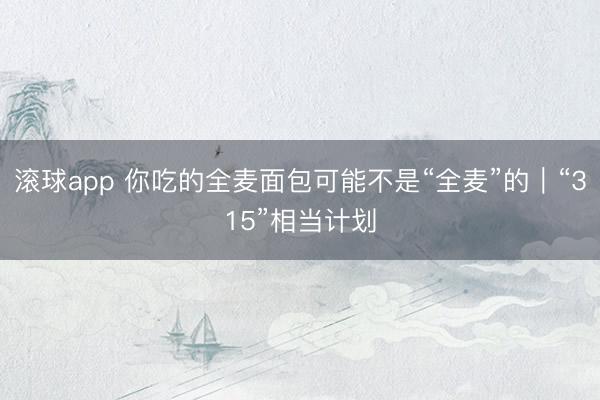 滚球app 你吃的全麦面包可能不是“全麦”的｜“315”相当计划