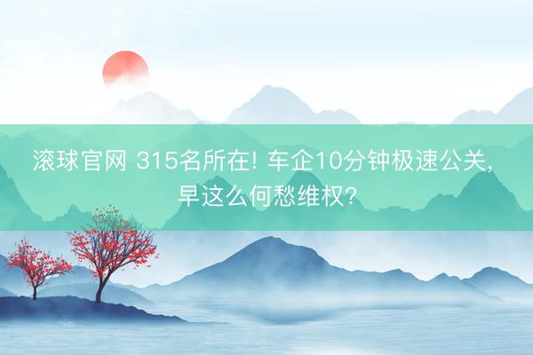 滚球官网 315名所在! 车企10分钟极速公关, 早这么何愁维权?