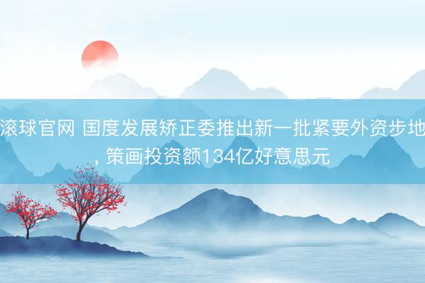 滚球官网 国度发展矫正委推出新一批紧要外资步地, 策画投资额134亿好意思元