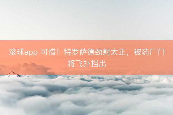 滚球app 可惜！特罗萨德劲射太正，被药厂门将飞扑挡出