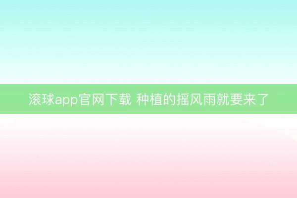 滚球app官网下载 种植的摇风雨就要来了