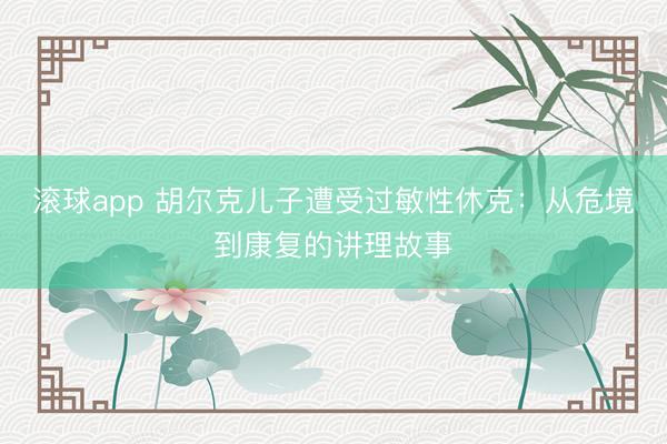 滚球app 胡尔克儿子遭受过敏性休克：从危境到康复的讲理故事