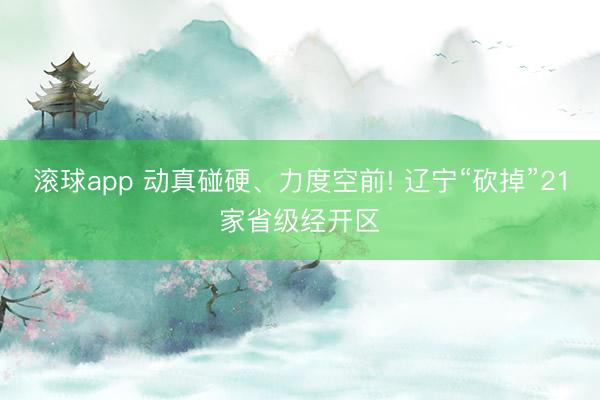 滚球app 动真碰硬、力度空前! 辽宁“砍掉”21家省级经开区