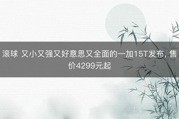 滚球 又小又强又好意思又全面的一加15T发布, 售价4299元起