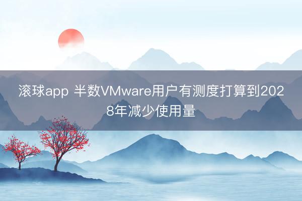 滚球app 半数VMware用户有测度打算到2028年减少使用量