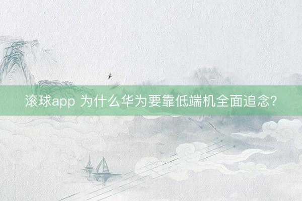 滚球app 为什么华为要靠低端机全面追念？