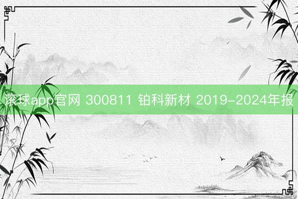 滚球app官网 300811 铂科新材 2019-2024年报