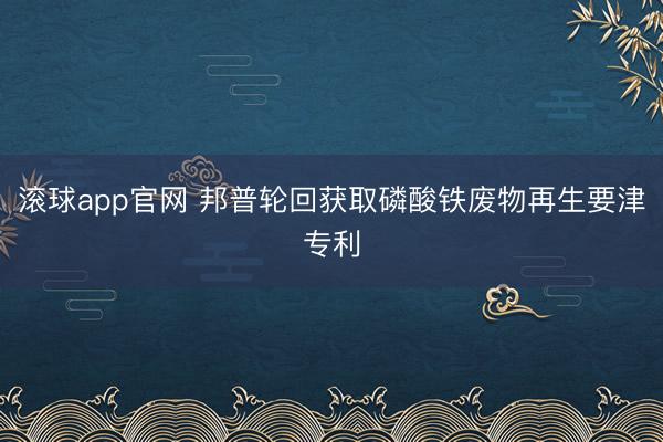 滚球app官网 邦普轮回获取磷酸铁废物再生要津专利