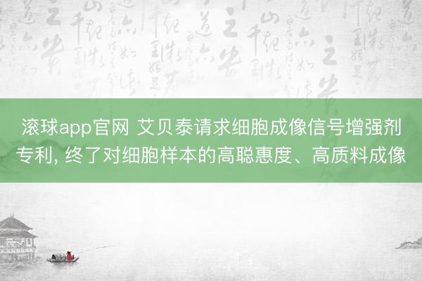 滚球app官网 艾贝泰请求细胞成像信号增强剂专利, 终了对细胞样本的高聪惠度、高质料成像