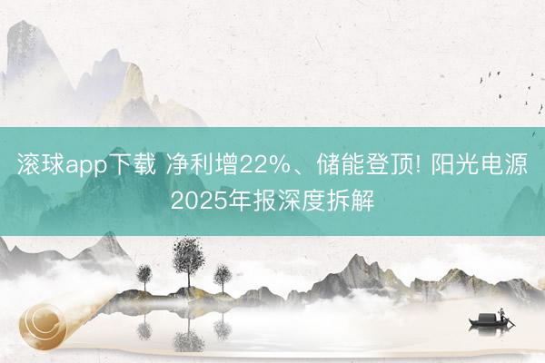 滚球app下载 净利增22%、储能登顶! 阳光电源2025年报深度拆解