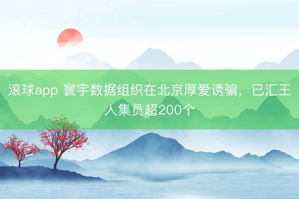 滚球app 寰宇数据组织在北京厚爱诱骗，已汇王人集员超200个