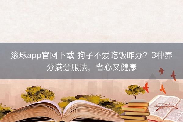 滚球app官网下载 狗子不爱吃饭咋办？3种养分满分服法，省心又健康