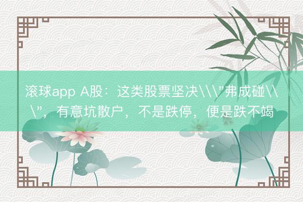 滚球app A股：这类股票坚决\