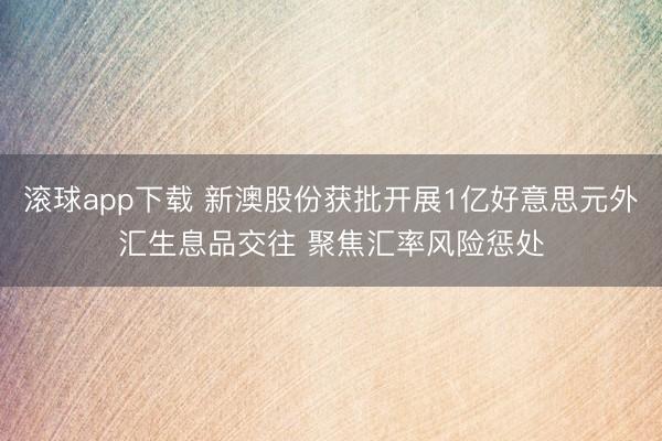 滚球app下载 新澳股份获批开展1亿好意思元外汇生息品交往 聚焦汇率风险惩处