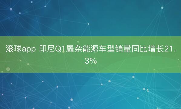 滚球app 印尼Q1羼杂能源车型销量同比增长21.3%