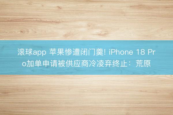 滚球app 苹果惨遭闭门羹! iPhone 18 Pro加单申请被供应商冷凌弃终止：荒原