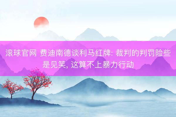 滚球官网 费迪南德谈利马红牌: 裁判的判罚险些是见笑, 这算不上暴力行动