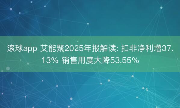 滚球app 艾能聚2025年报解读: 扣非净利增37.13% 销售用度大降53.55%
