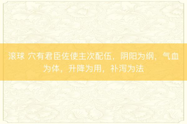 滚球 穴有君臣佐使主次配伍，阴阳为纲，气血为体，升降为用，补泻为法