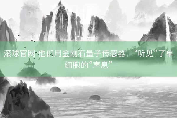 滚球官网 他们用金刚石量子传感器，“听见”了单细胞的“声息”