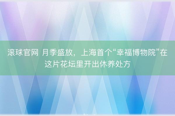 滚球官网 月季盛放，上海首个“幸福博物院”在这片花坛里开出休养处方