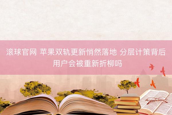 滚球官网 苹果双轨更新悄然落地 分层计策背后 用户会被重新折柳吗