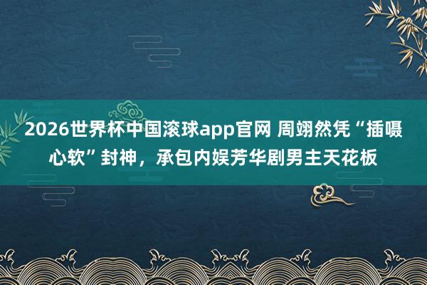 2026世界杯中国滚球app官网 周翊然凭“插嗫心软”封神，承包内娱芳华剧男主天花板