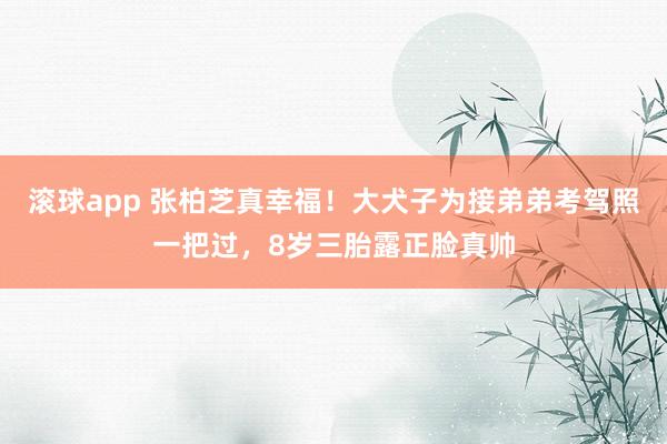 滚球app 张柏芝真幸福！大犬子为接弟弟考驾照一把过，8岁三胎露正脸真帅