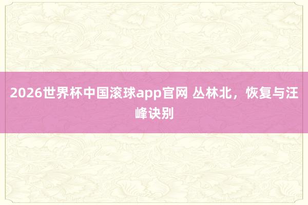 2026世界杯中国滚球app官网 丛林北，恢复与汪峰诀别