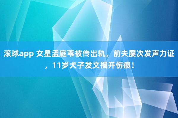 滚球app 女星孟庭苇被传出轨，前夫屡次发声力证，11岁犬子发文揭开伤痕！