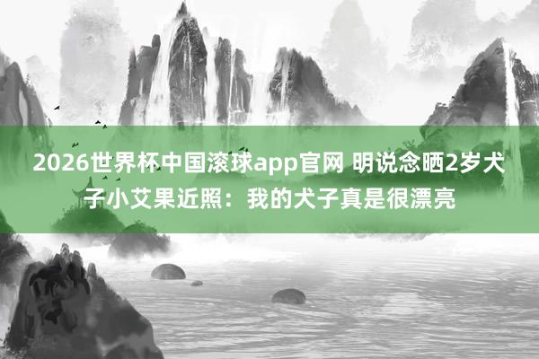 2026世界杯中国滚球app官网 明说念晒2岁犬子小艾果近照：我的犬子真是很漂亮